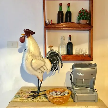 Villa Camera E Appartamento Toscana - B&B Palazzo Robicci