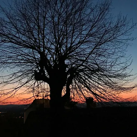 Camera E Appartamento Toscana - B&B Palazzo Robicci Villa Castiglion Fiorentino